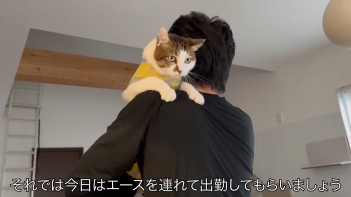 抱っこされヒゲに力が入っている猫