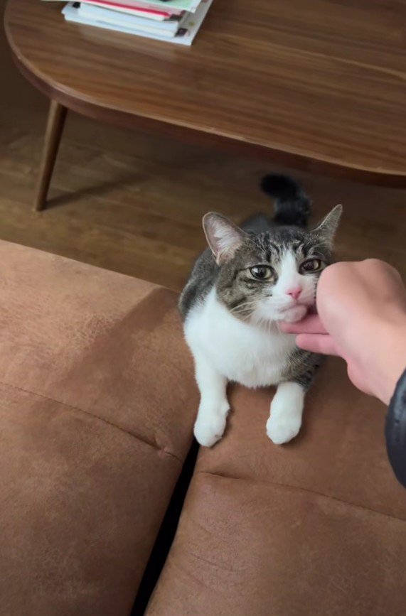 甘えるはなちゃん