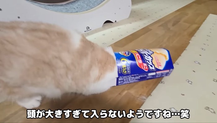 頭が大きすぎて