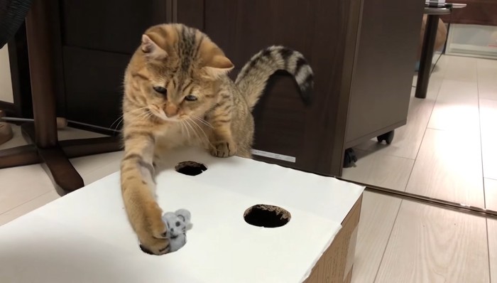 ネズミにヒット