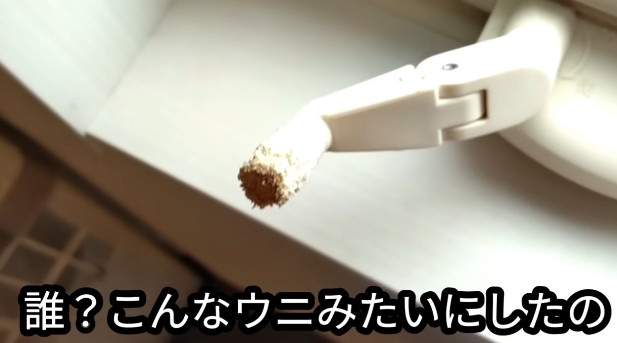 かじられている窓辺のレバー