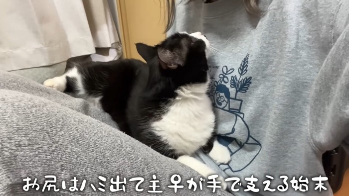 お尻はハミ出て