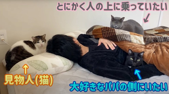 寝る人と3匹の猫