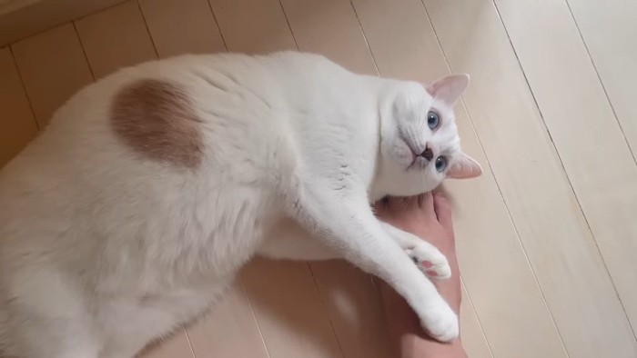 ゴロン