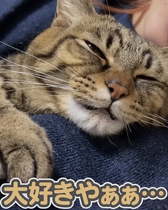 「大好きやぁぁ...」のテロップ写真