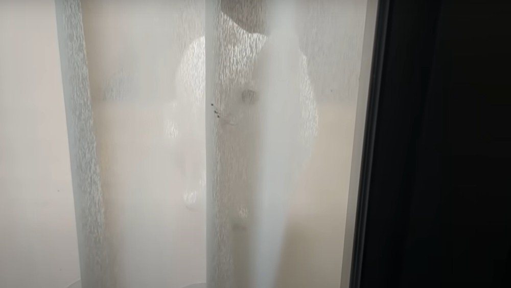 カーテン越しに見える白猫