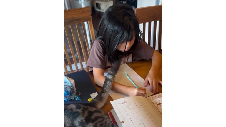 猫と女の子