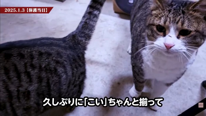 テロップ「久しぶりに~」