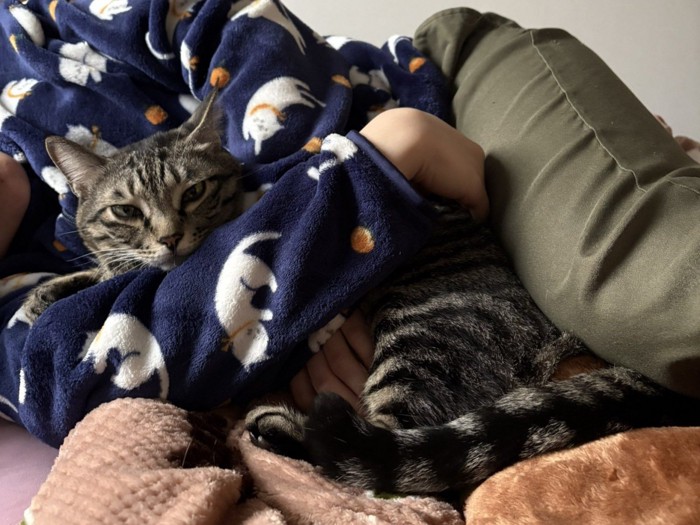 寝ている飼い主に抱かれる猫