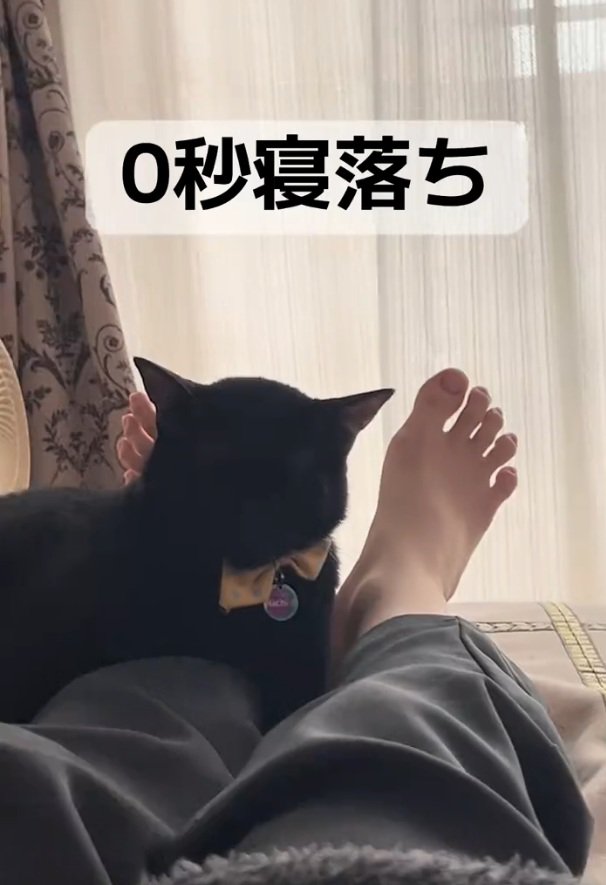 熟睡するナチくん