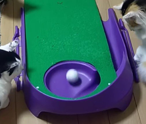 ホールの中に落ちるゴルフボール