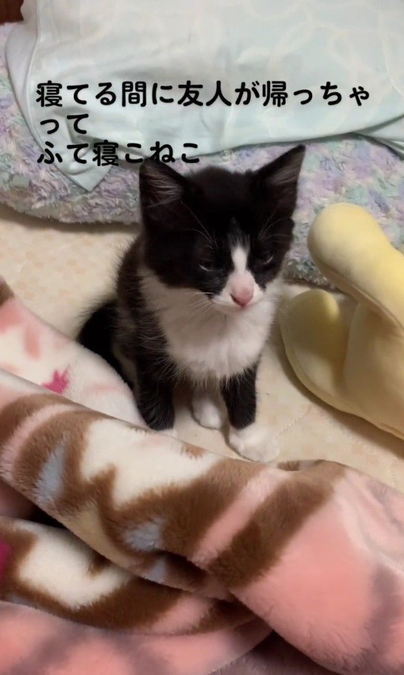 拗ねているねむちゃん