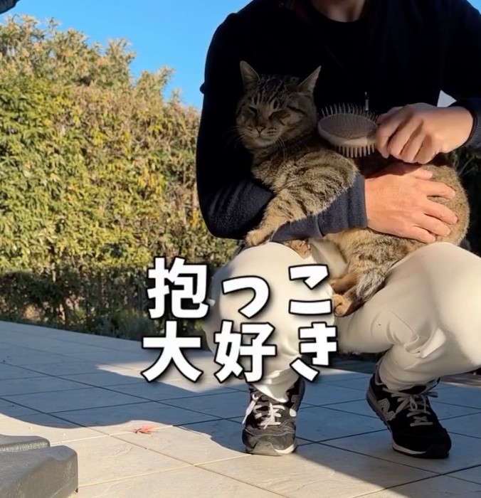 抱っこされる猫