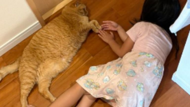 寝そべる猫と女の子