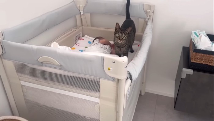 ベビーベッドの上