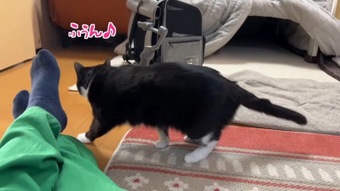 ふうん♪