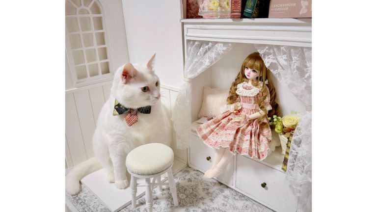 ドール部屋にいる猫