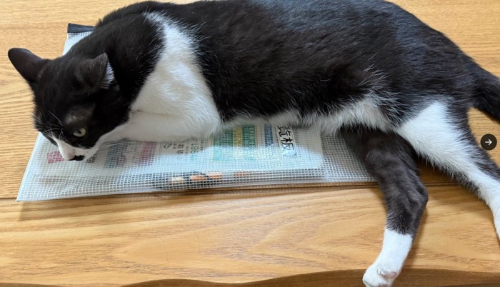 回覧板が大好きなちょびさん