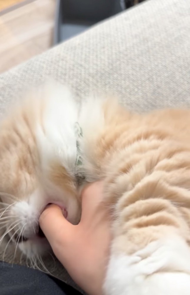 指が口の中に