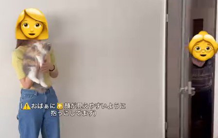 猫を抱っこする女性とおばあちゃん