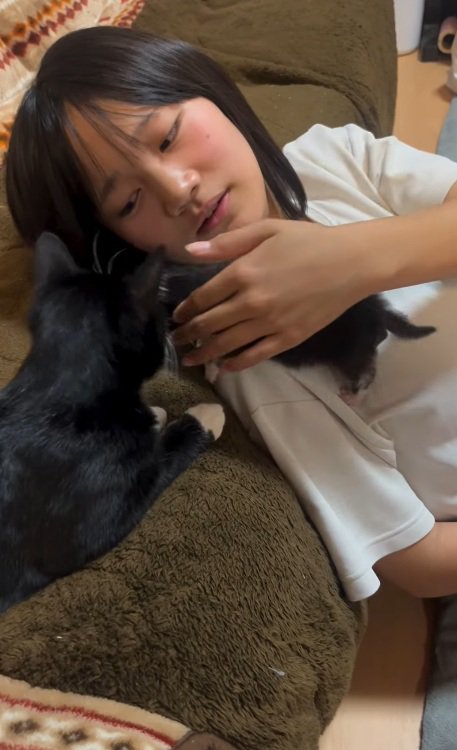 肩につかまっている子猫を手で支えてあげる