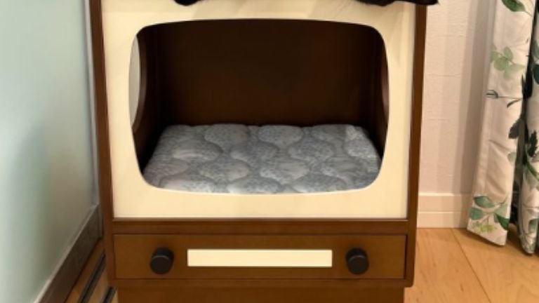 キャットハウス