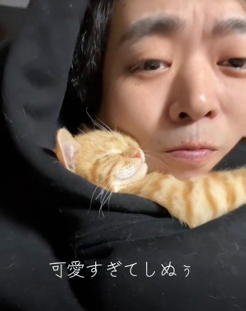 人に抱き着いて寝ている子猫