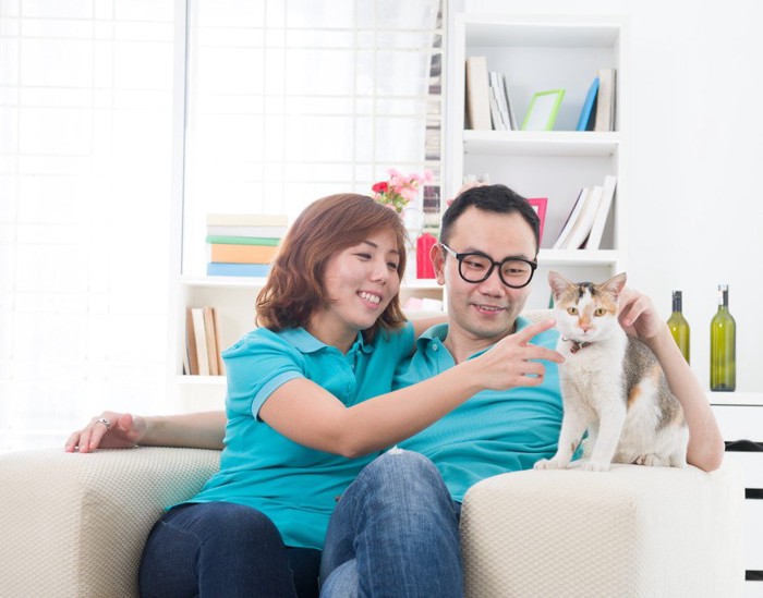 猫をかわいがるアジア人夫婦