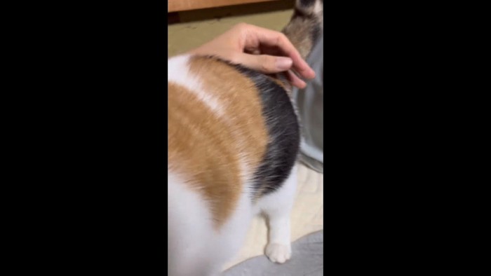 お尻をなでなで