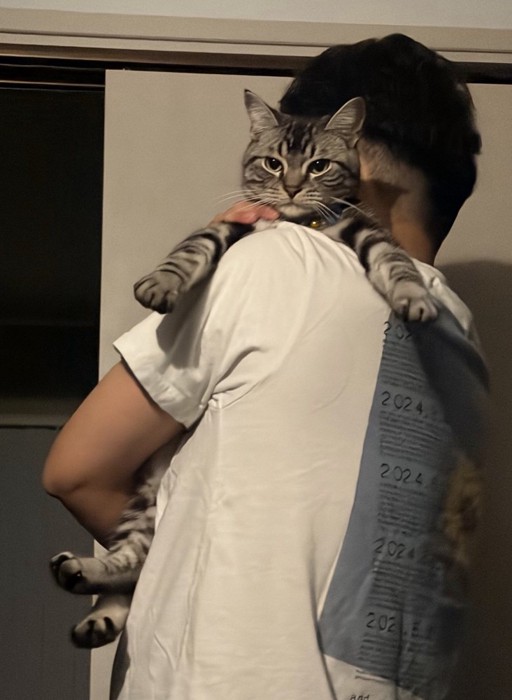男性に抱っこされる寝起きの猫