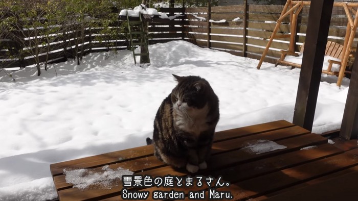 「雪景色の庭とまるさん」のテロップ写真