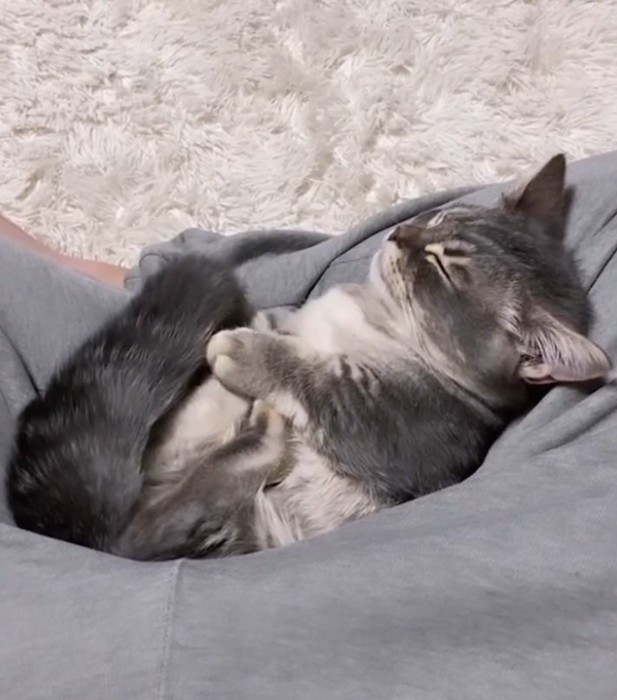 熟睡するみりんくん