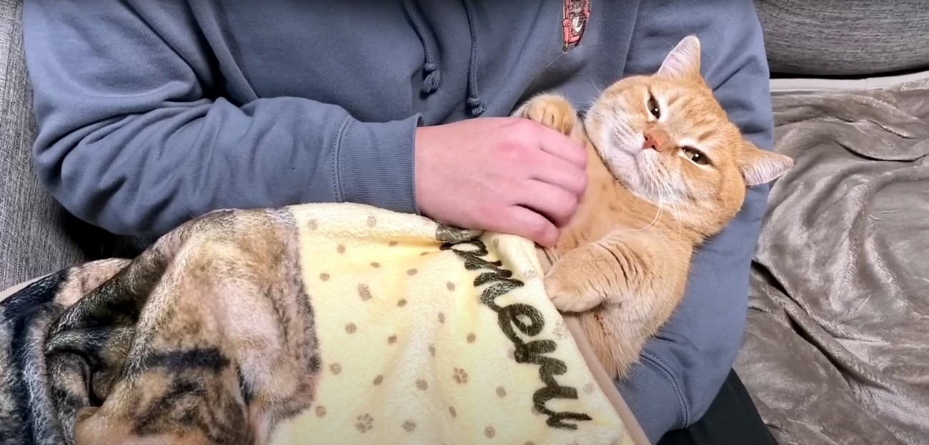 抱っこされるプリンちゃん