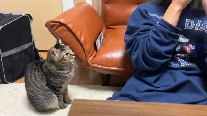 ちょこんとお座り