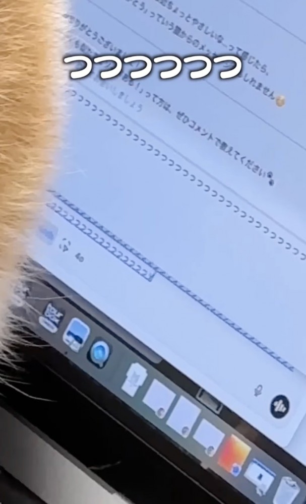 「つつつつつ」