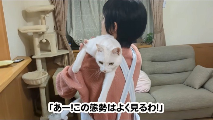 女性の肩に乗る猫