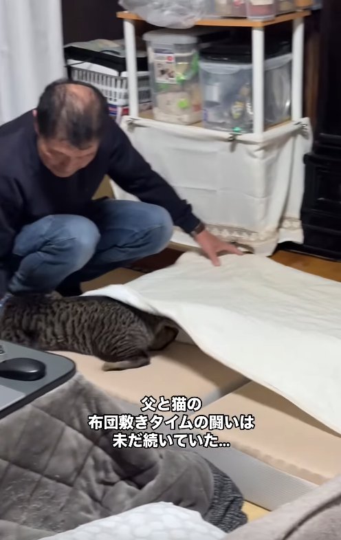 敷布団カバーをかけるのを邪魔する猫