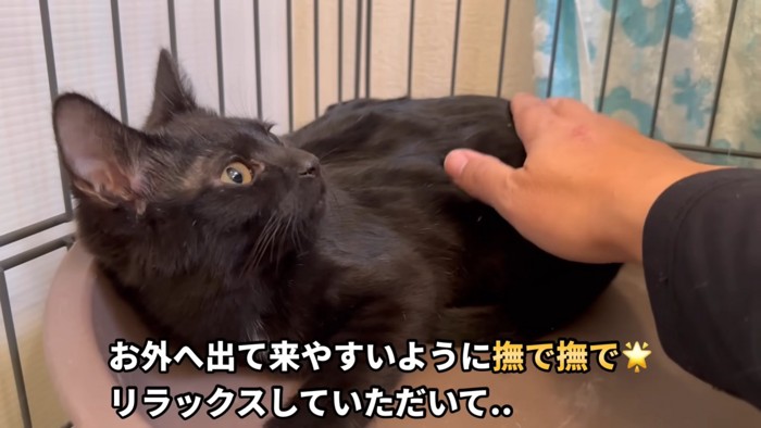 テロップ「お外へ出て～」