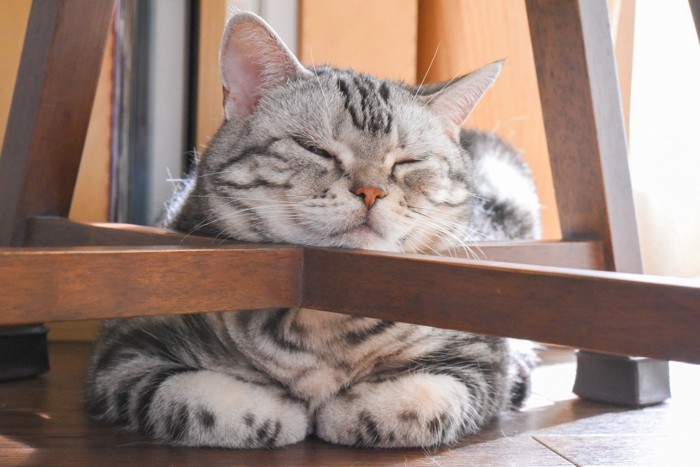 椅子にあご乗せ