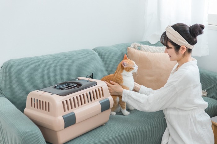 キャリーに猫を入れる女性