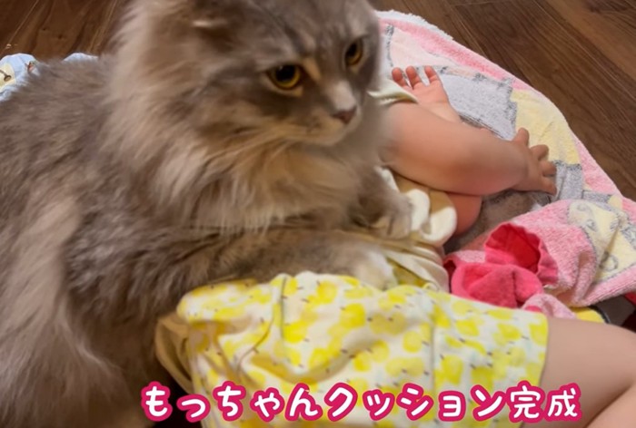 寝ている子供に上半身を乗せて寛ぐ猫