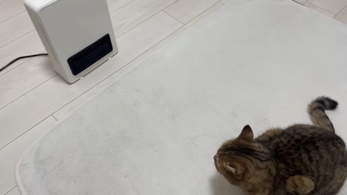 ヒーターから少し離れて