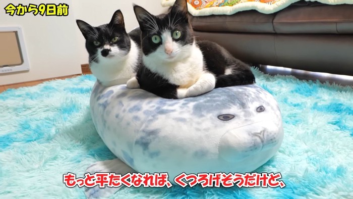 今から9日前
