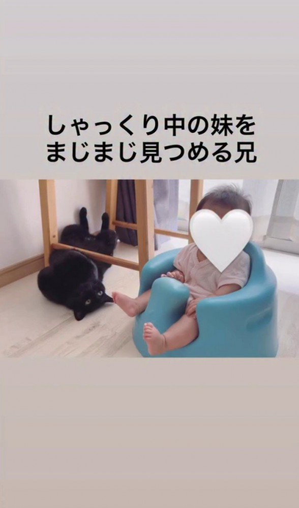 猫と子ども1
