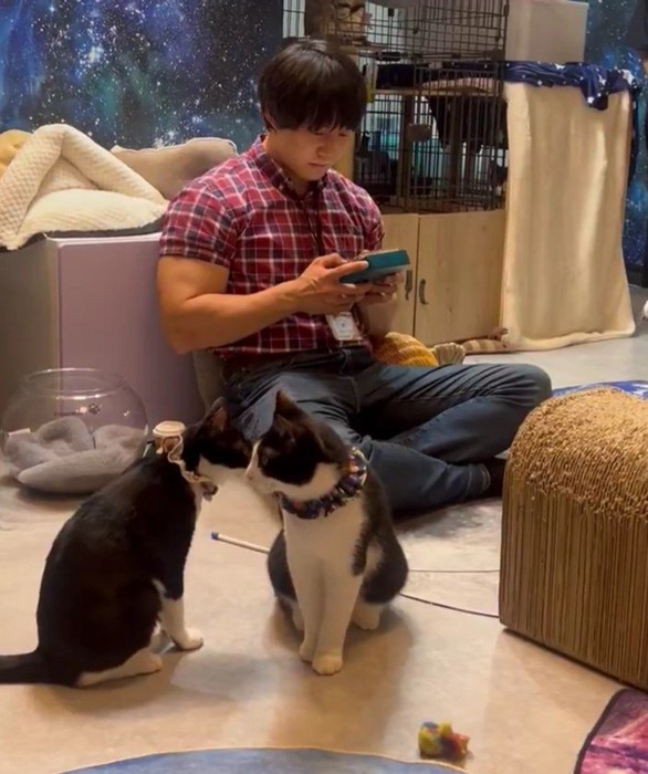 青木マッチョさんと猫たち