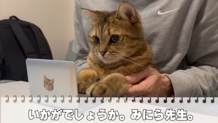 パソコンを受け取ったみにらくんが膝の上に座る場面