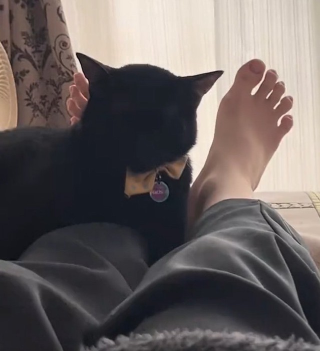 足元で眠るナチくん