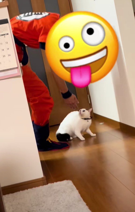 謝るパパさんとハクちゃん