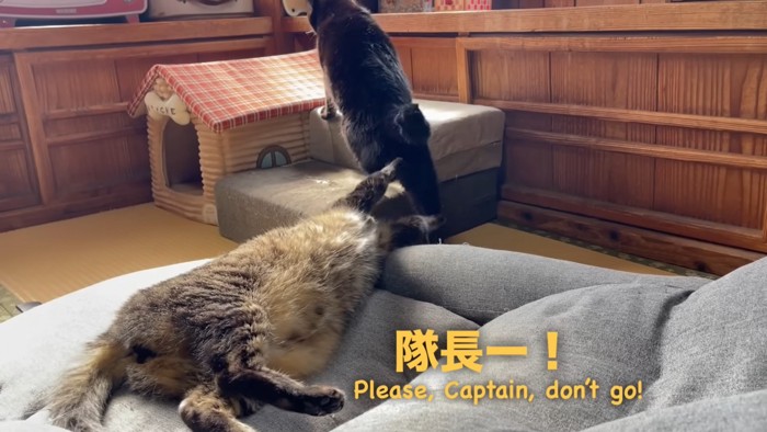 どこかへ行ってしまった月と天