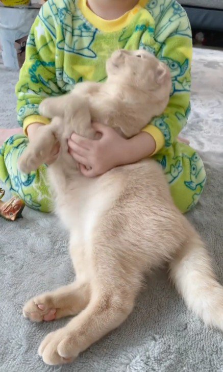 猫を抱きしめる女の子